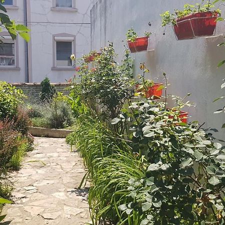 Garden Apartments Белград Екстериор снимка