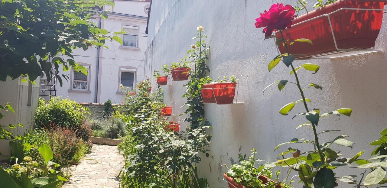 Garden Apartments Белград Екстериор снимка
